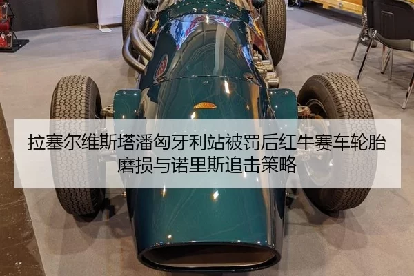la-sai-er-wei-si-ta-pan-xiong-ya-li-zhan-bei-fa-hou-hong-niu-sai-che-lun-tai-mo-sun-yu-nuo-li-si-zhui-ji-ce-lve-2-428.jpg
